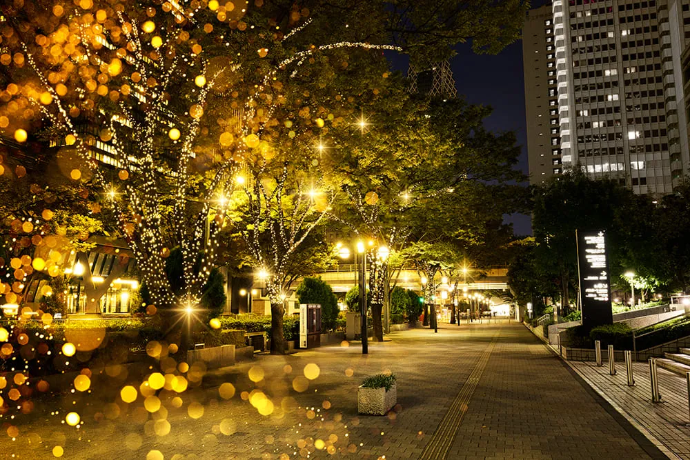 写真：綺麗なイルミネーション