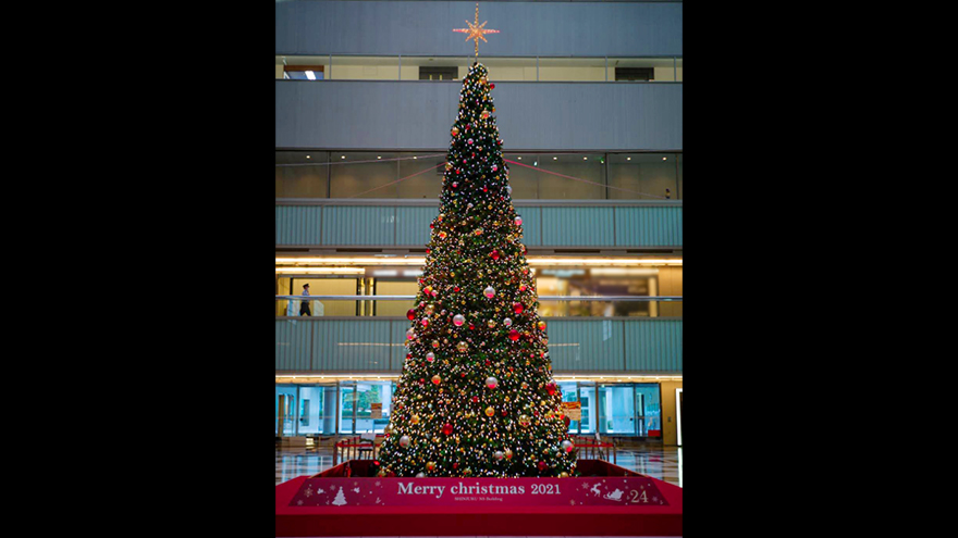 スタンプラリーのスポット「新宿NSビル クリスマスツリー」のイメージ